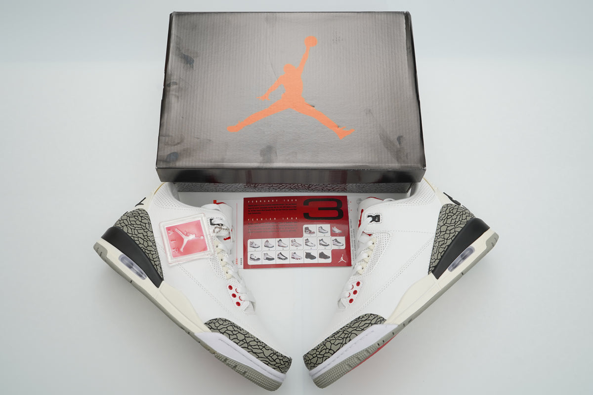 Air Jordan 3 Sneakers